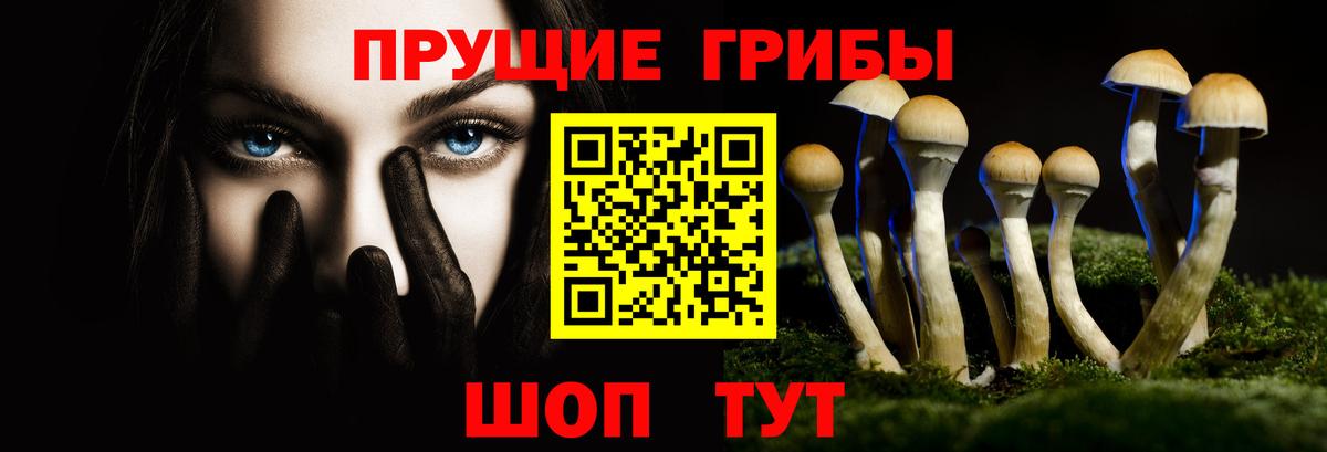 Галлюциногенные грибы прущие грибы Тайшет